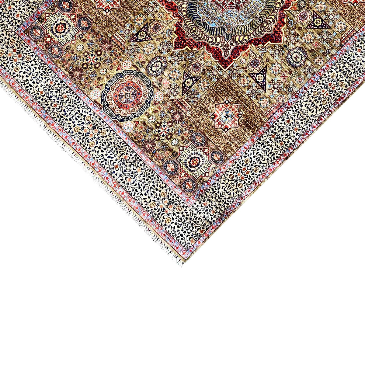 Close-up detail: rug with fringe, border, and ornaments in brown-beige, blue, and red