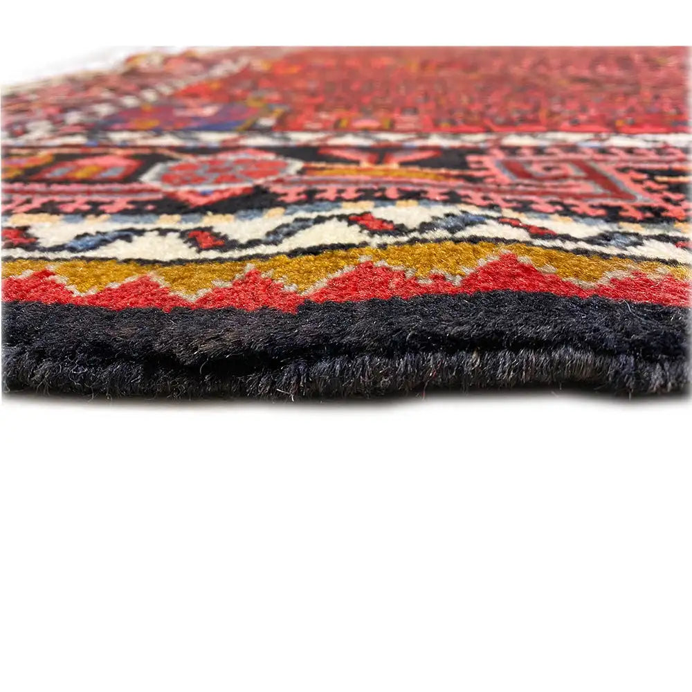 Hamadan rug close-up: red pattern, black-brown pile border and colorful ornaments