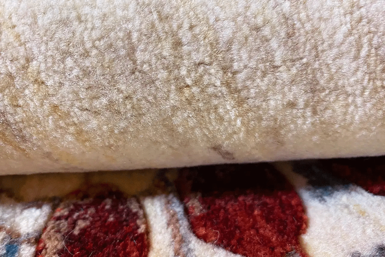 Gabbeh rug detail: pile with a speckled texture and underside with a red patterned band