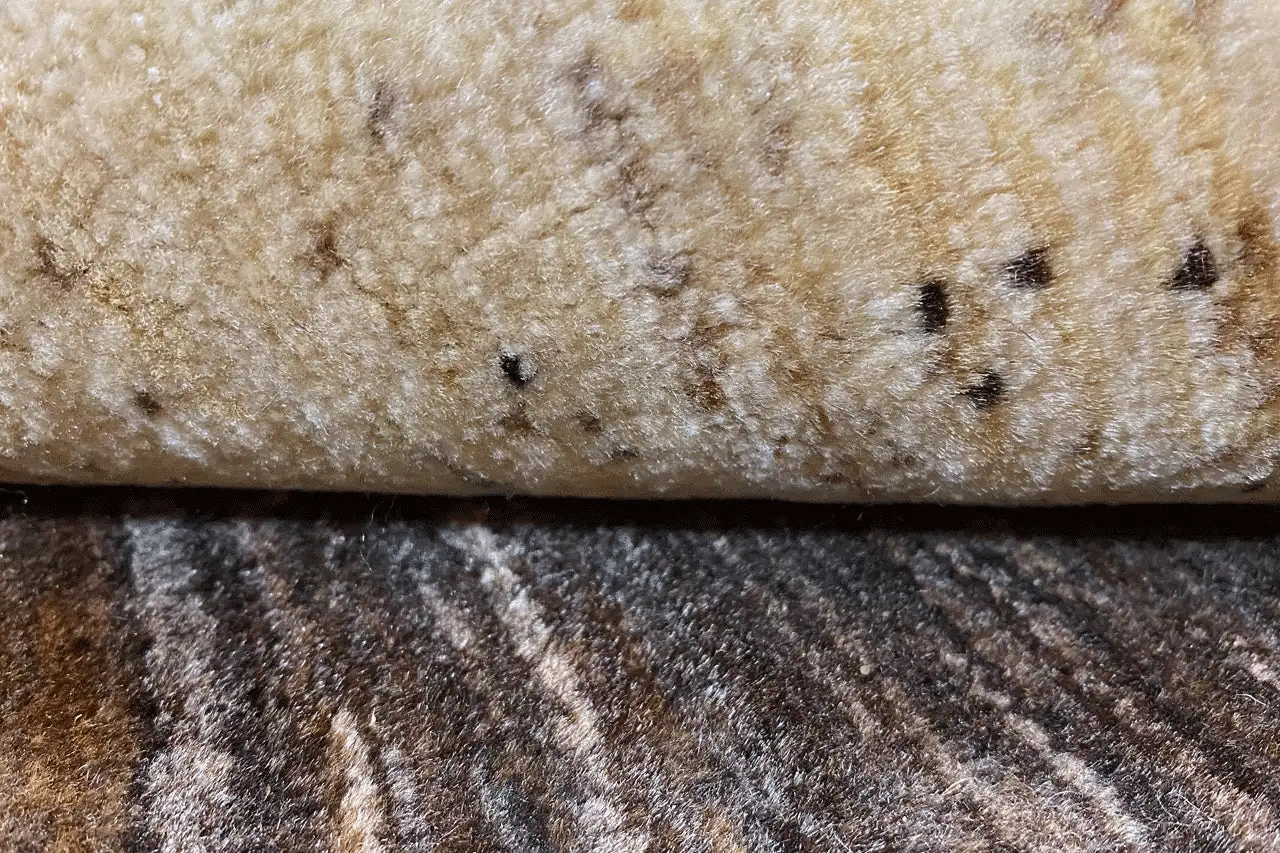 Close-up of a gabbeh rug: pile with short dark dots on a beige background
