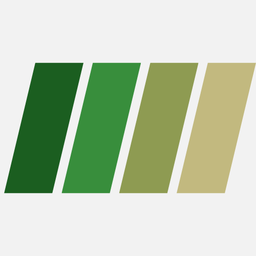 Green and Olive Carpets - German Carpet Shop