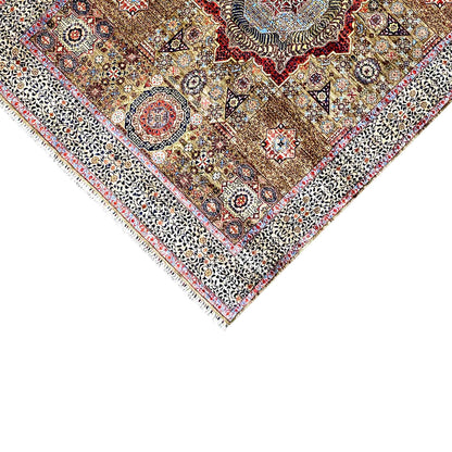 Close-up detail: rug with fringe, border, and ornaments in brown-beige, blue, and red