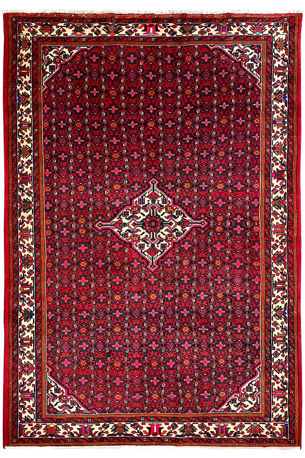Hamedan Oriental rug front view, red star pattern with central medallion