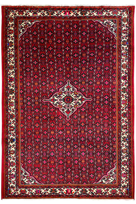 Hamedan Oriental rug front view, red star pattern with central medallion