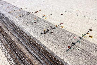 Gabbeh rug detail: dark border with beige dots and colorful cross lines