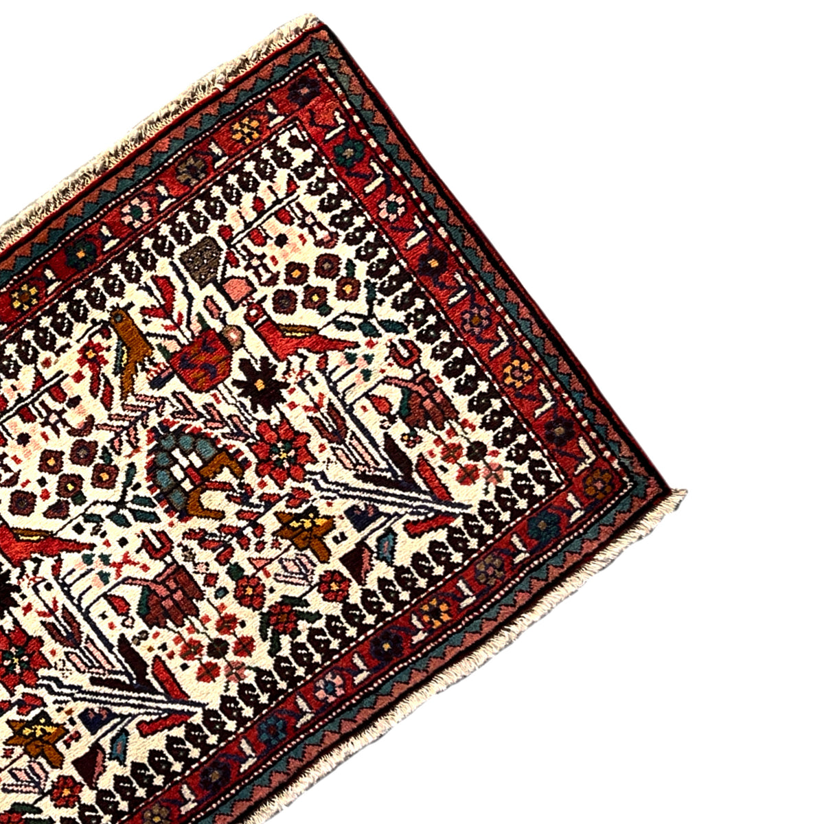 Poshti rug detail view, dense pile with colorful motifs and borders