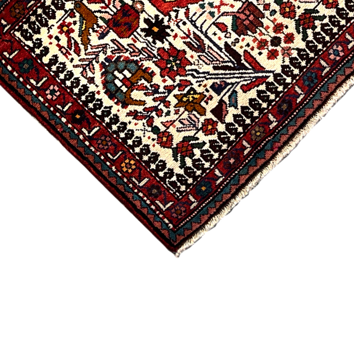 Poshti rug corner detail with multicolored edging and woven pattern