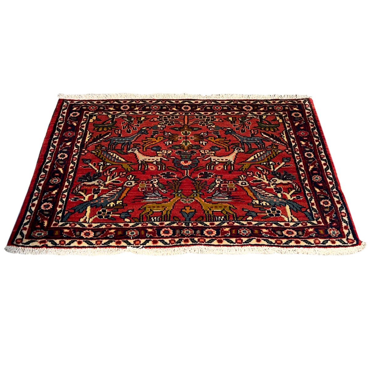 Red Poshti rug with central figural ornament, border, and fringes