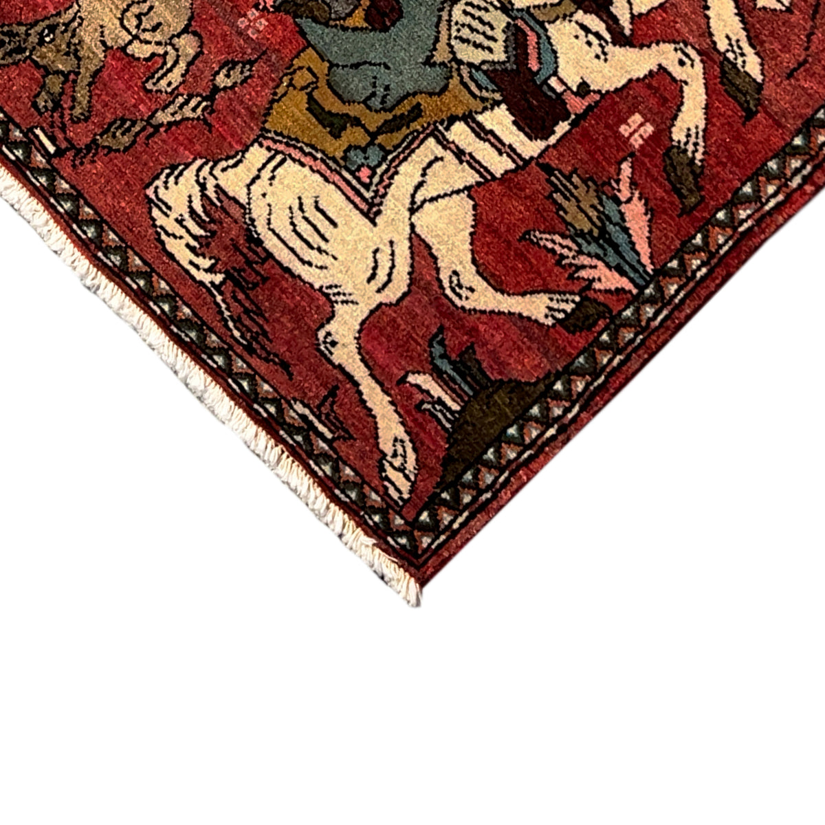 Close-up: Hamedan rug with a figurative design, fine patterns, and a tiered border