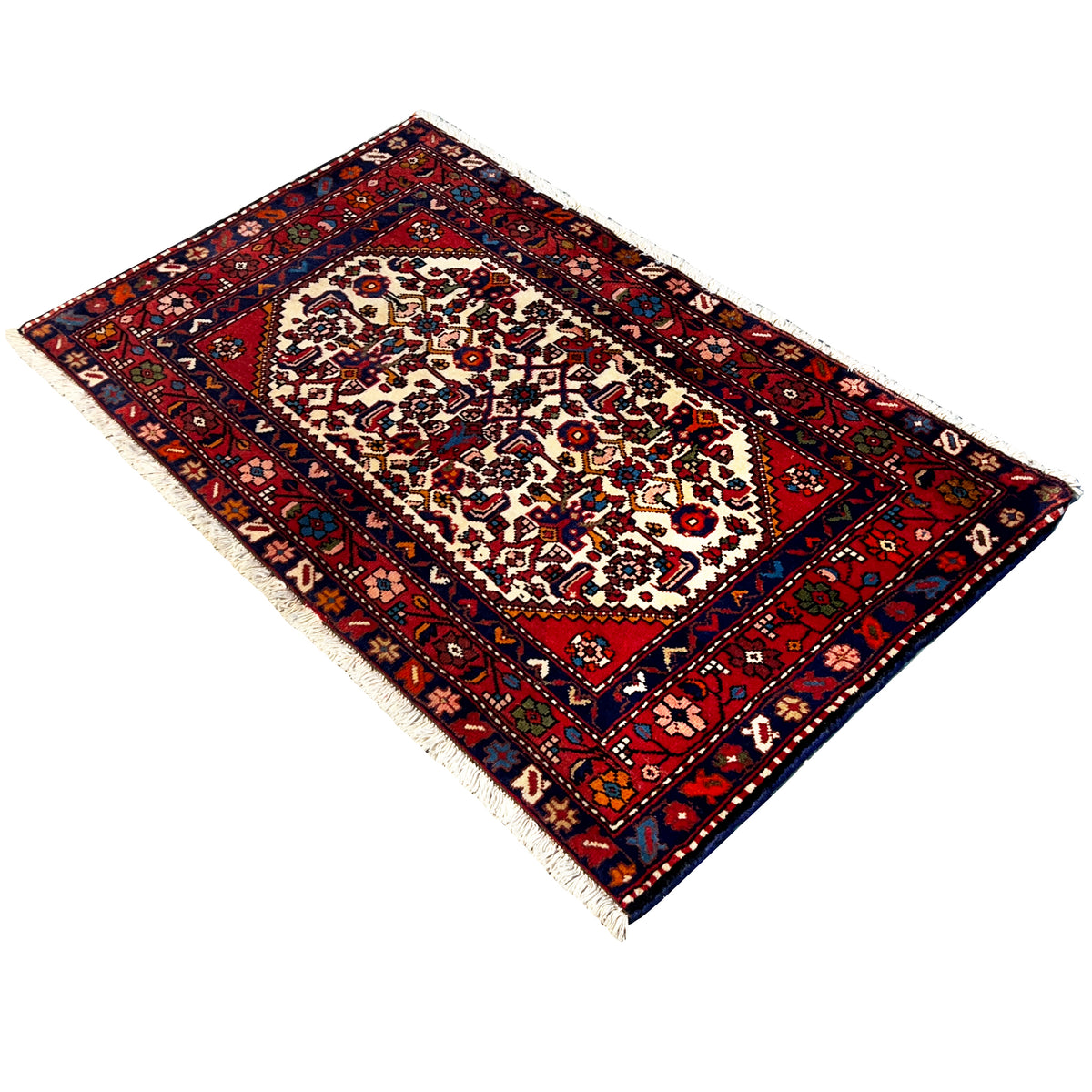 Poshti rug in red and dark blue with a central ornament and light-colored fringes