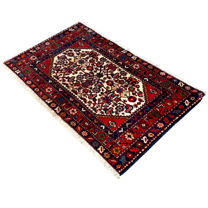 Poshti rug in red and dark blue with a central ornament and light-colored fringes