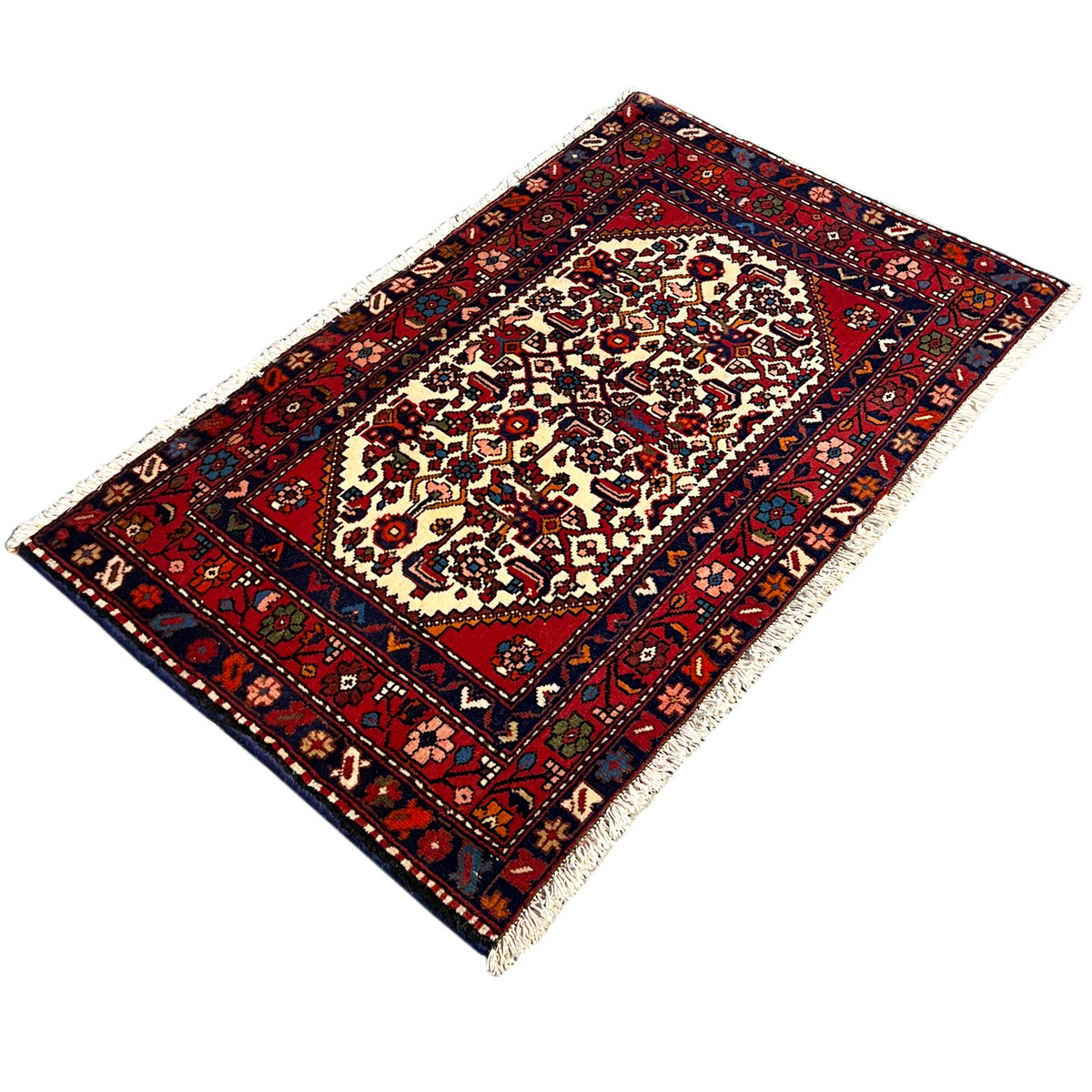 Rug with a red ground, blue border pattern, central ornament, and fringes