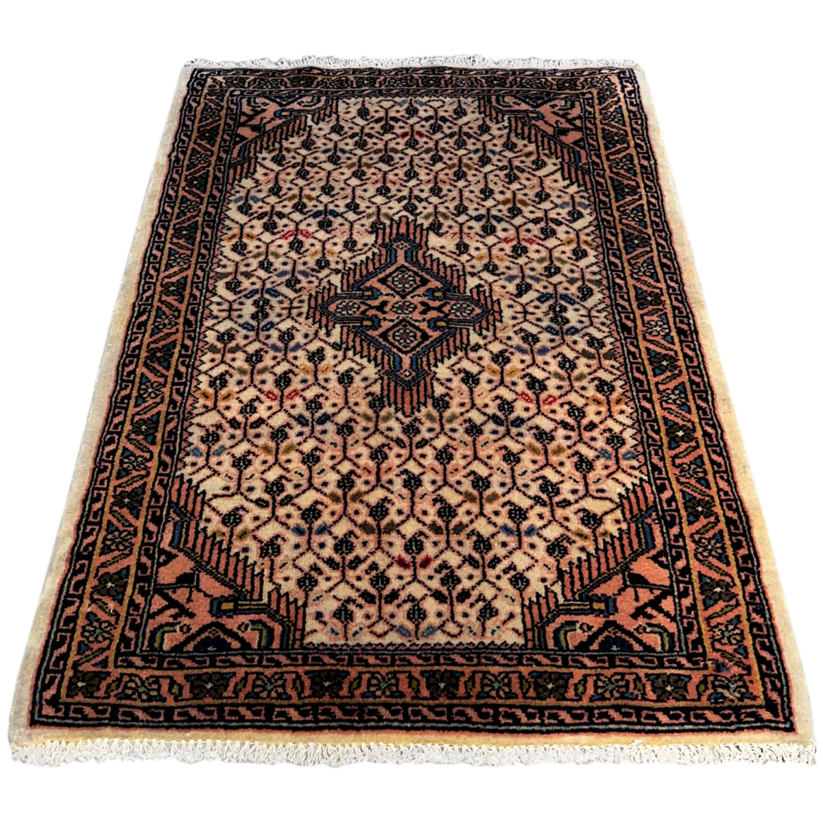 Rectangular Poshti rug in beige with a central medallion and dark-edged borders