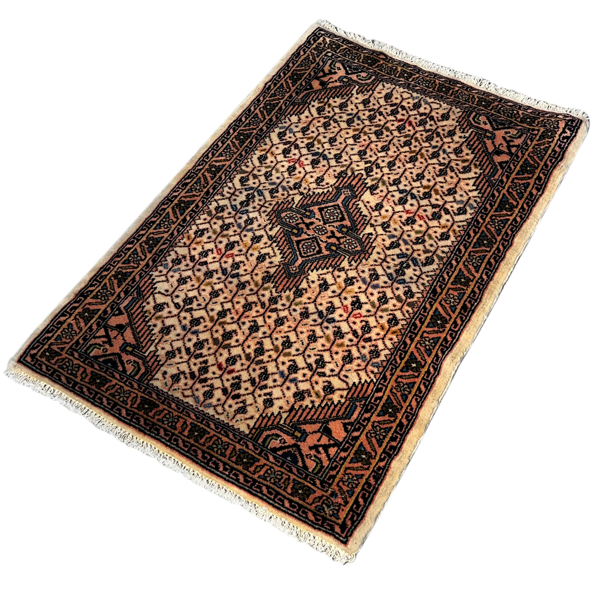 Beige Poshti rug with a detailed ornamental pattern, dark border line, and fringes