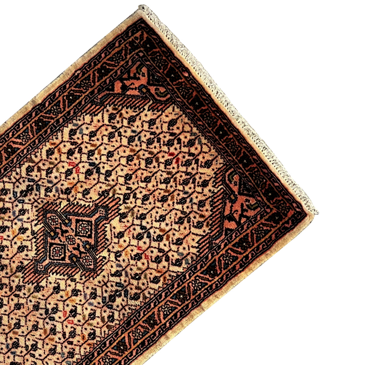 Close-up: Beige Poshti rug with dark ornamental borders and a central motif