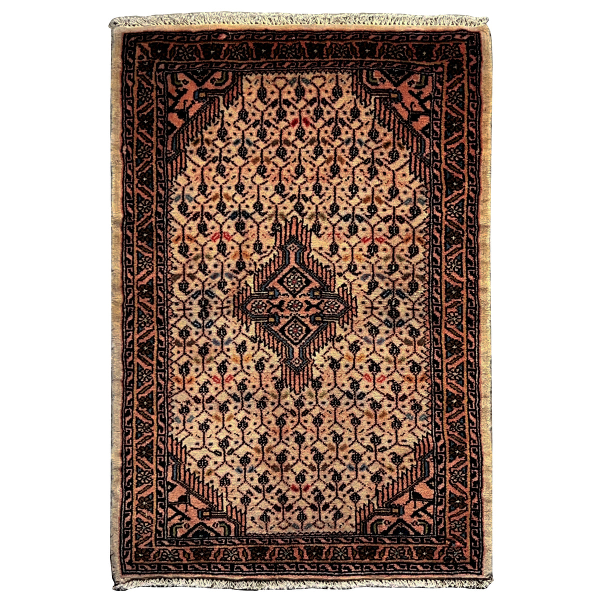 Beige Poshti rug with a dark medallion design and borders, rectangular, 92x61 cm