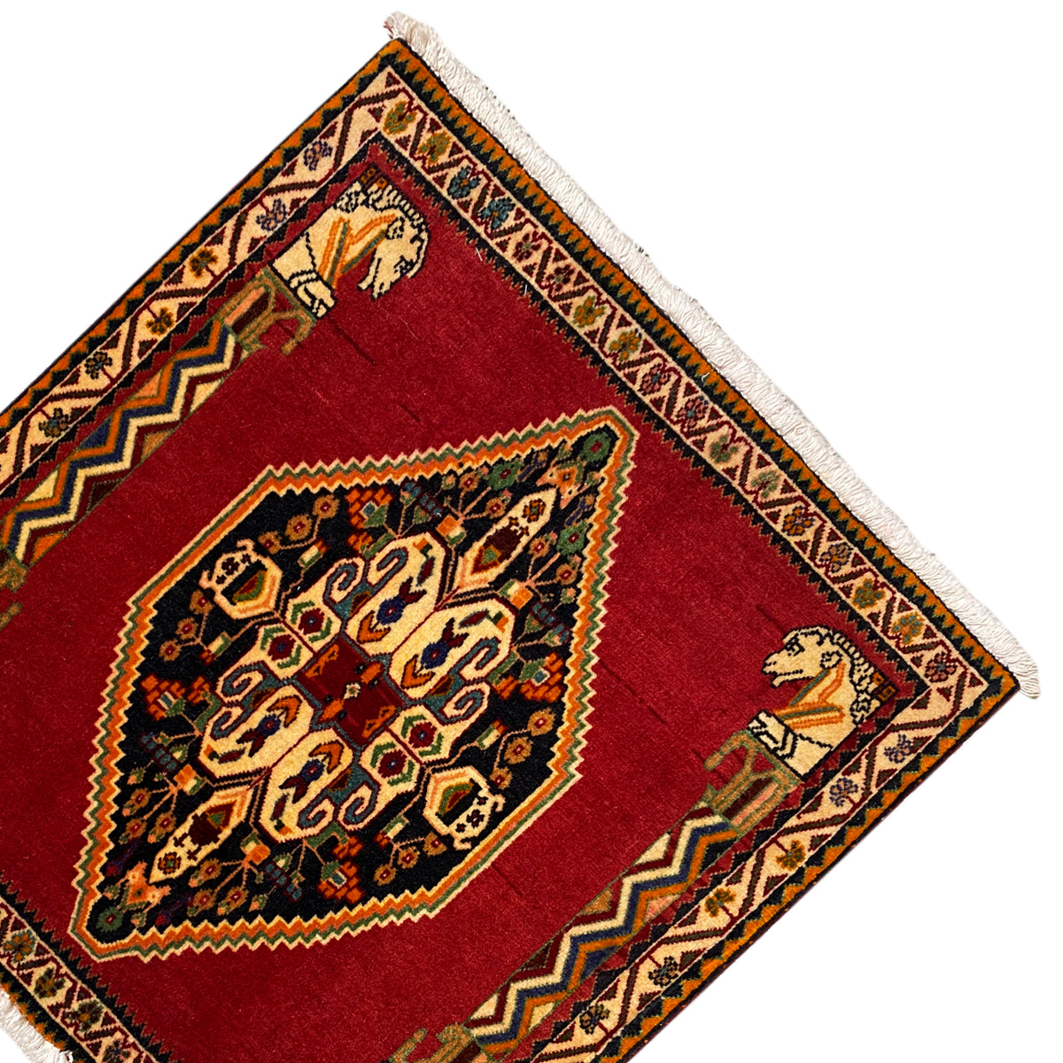 Carpet corner in detail: red field, medallion, patterned border, and frayed edge