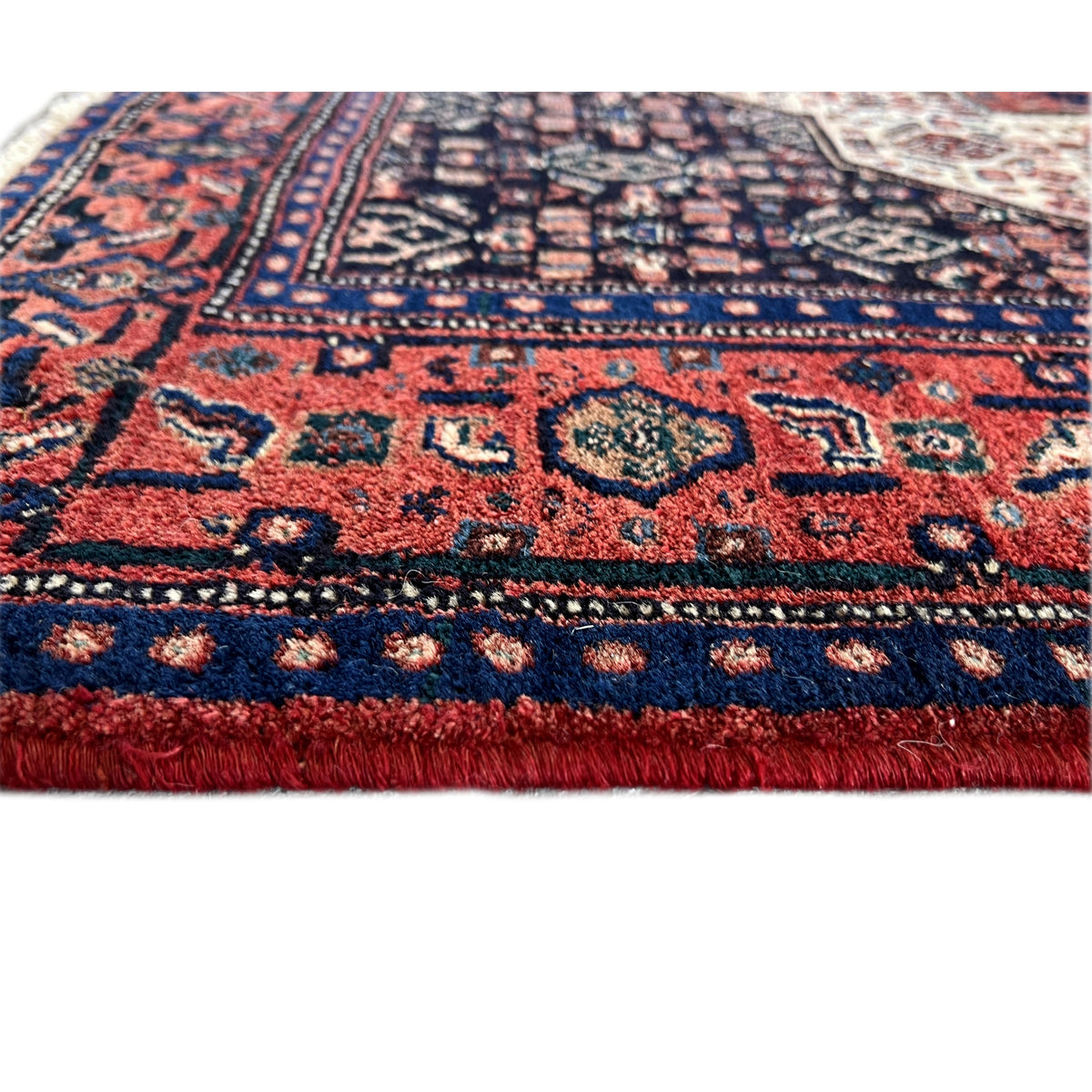 Close-up of the rug: multicolored ornaments in red, dark blue, and beige with fringes.