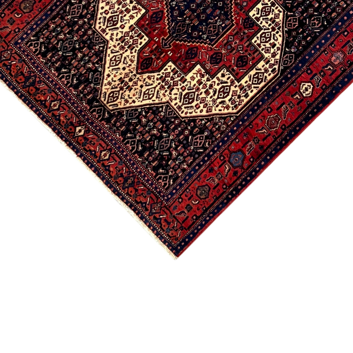 Rug corner with a bordered pattern in dark blue, red and beige, with a fringed edge.