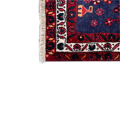 Carpet edge with fringe; red and dark blue ornament with multicolored border