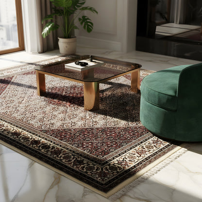Bidjar rug: large-scale pattern view with border, dark red, cream, and beige tones
