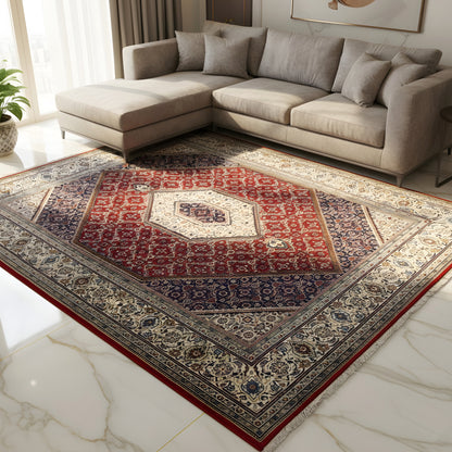 Rug on the floor with a red central medallion, blue-and-white border, and fringes