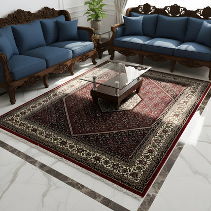 Red oriental rug in the living area with a pattern, border, and fringes along the edge