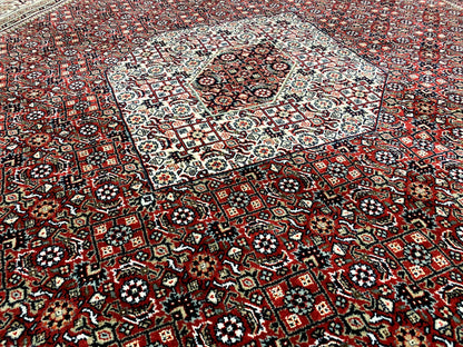Bidjar carpet detail view: densely patterned border and medallion carpet in red, cream, and blue