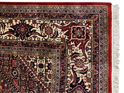 Bidjar rug detail view: red ornamental pattern with colorful vines and border