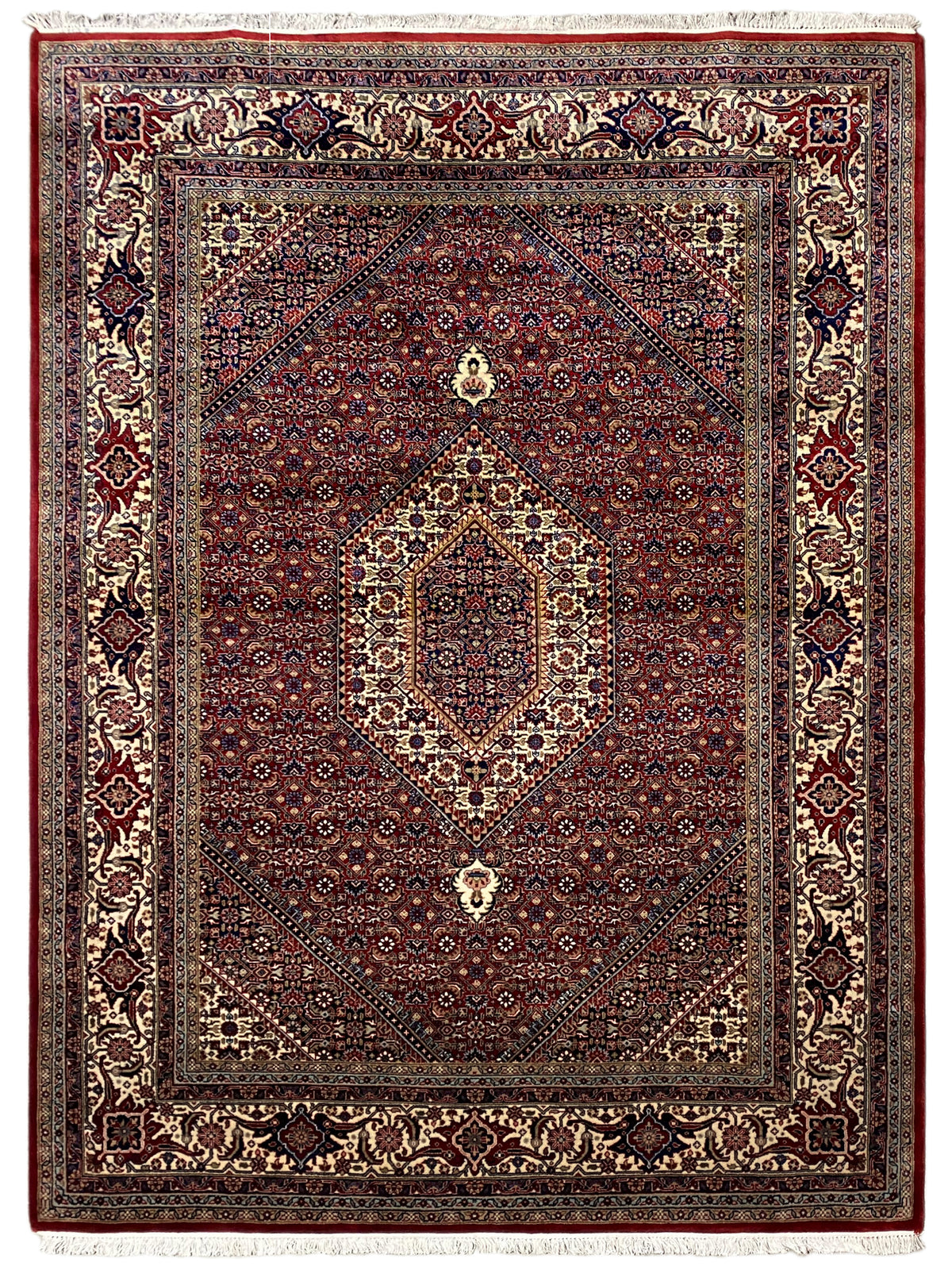 Red Bidjar rug with a dark field, symmetrical medallion, and decorative border