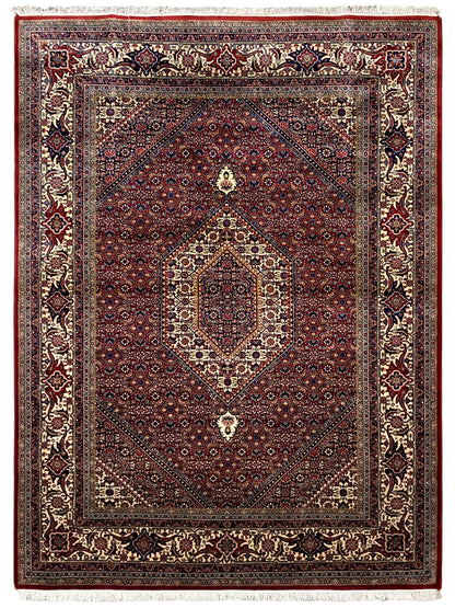 Red Bidjar rug with a dark field, symmetrical medallion, and decorative border