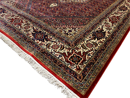 Bidjar rug corner with frieze trim, red border band, and Baroque pattern in the frame