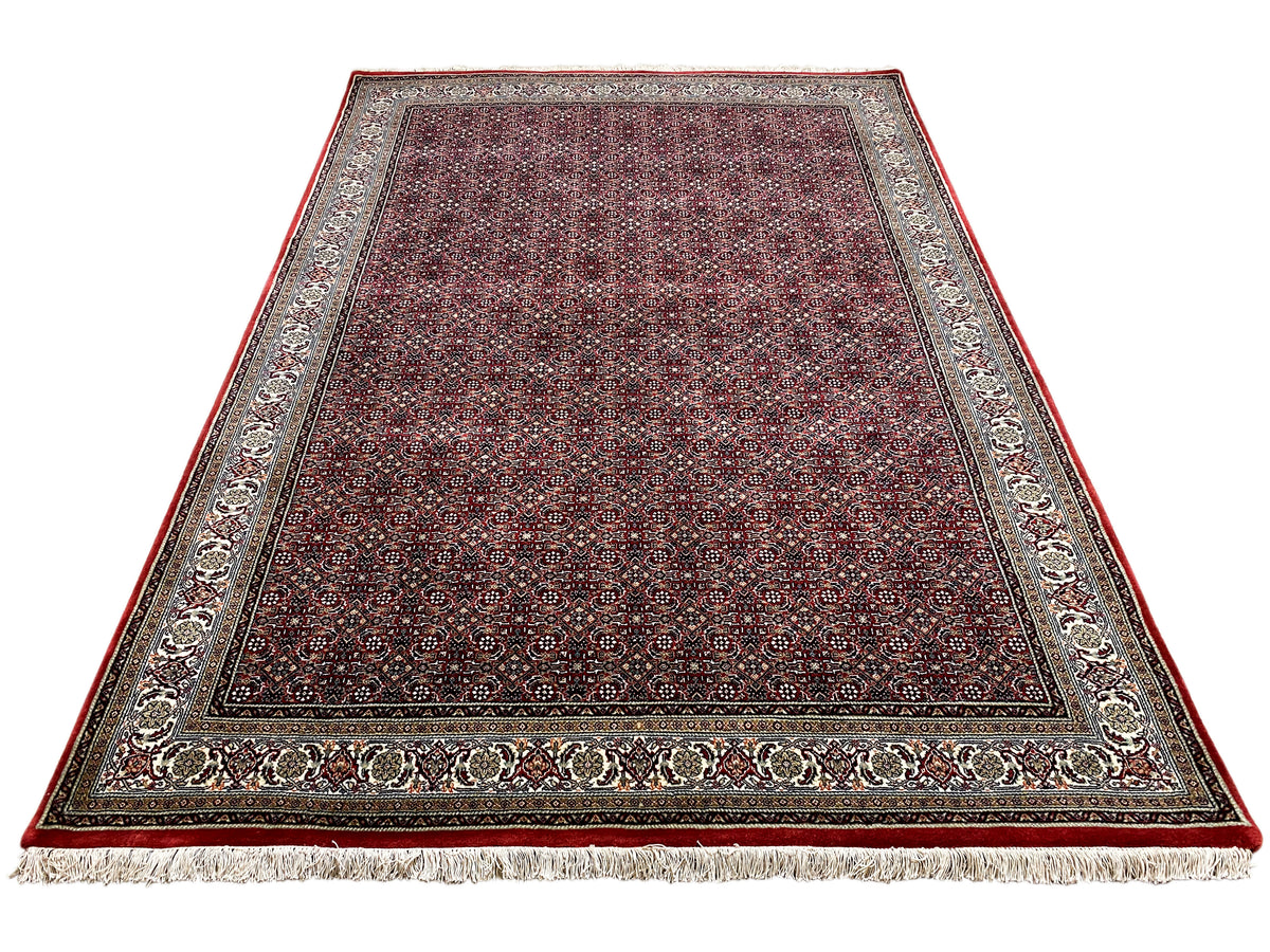 Bidjar rug laid flat with a border in cream and dark red, with fringes