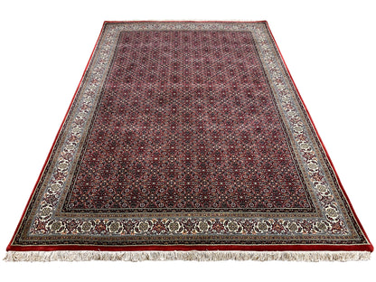 Bidjar rug laid flat with a border in cream and dark red, with fringes
