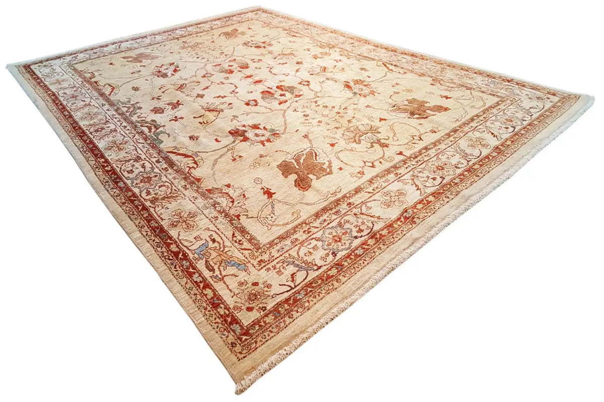 Carpet shown at an angle with a beige background, red border, and stylized motifs