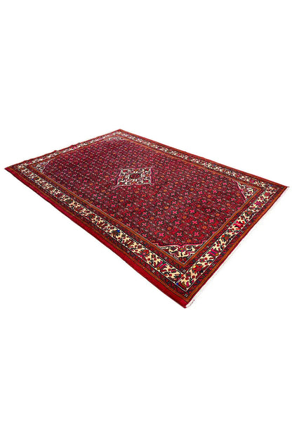 Rectangular Hamedan oriental rug, red medallion design with a multicolored border
