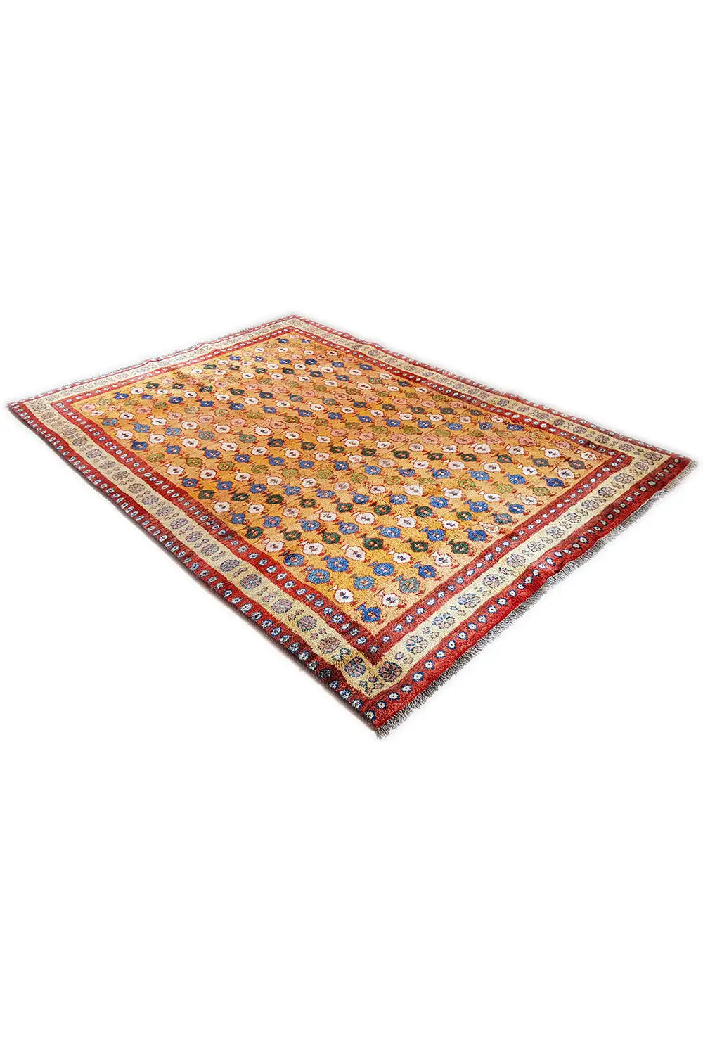 Gabbeh rug with a red border and all-over ornamental pattern in blue, yellow, and beige