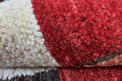 Gabbeh rug detail: red and beige wool with a multicolored border
