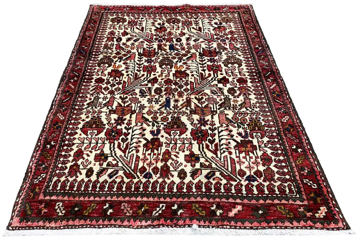 Oriental rug in angled view, finely patterned border in red and white