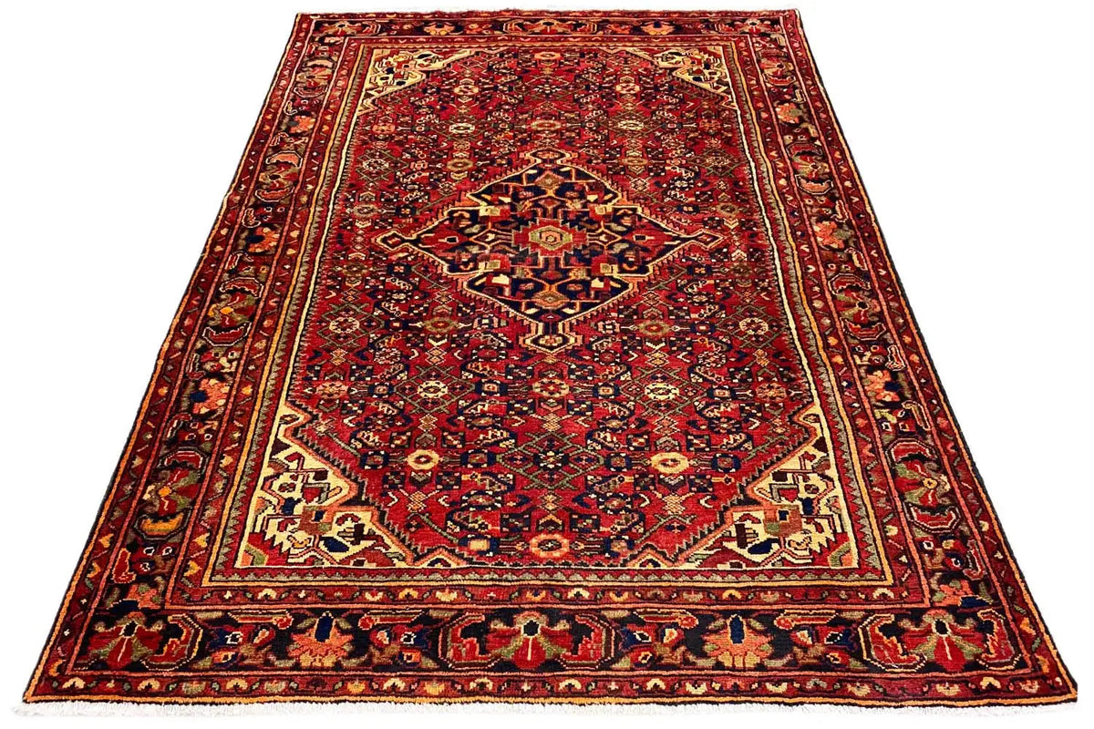Rectangular Hamadan rug, red border pattern with a central medallion, richly detailed