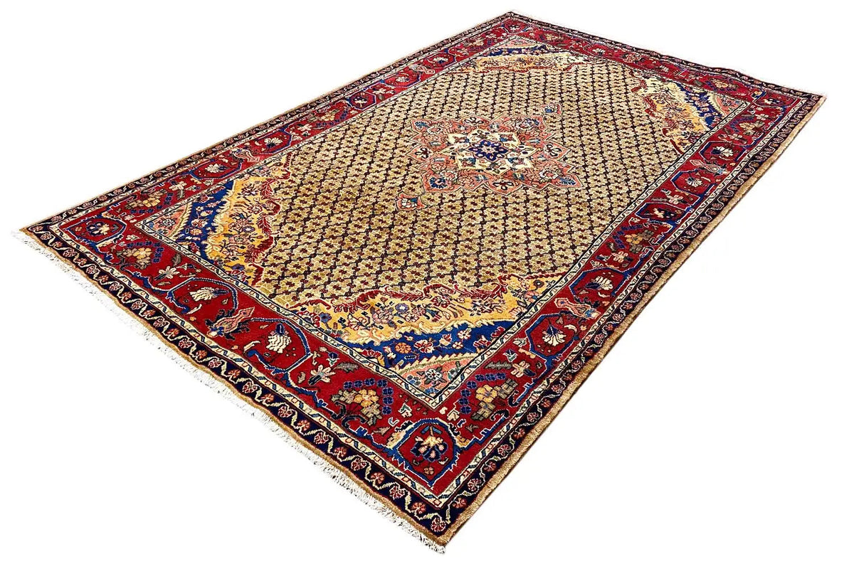 Rectangular Hamadan rug, beige pile with medallion; red-blue border pattern