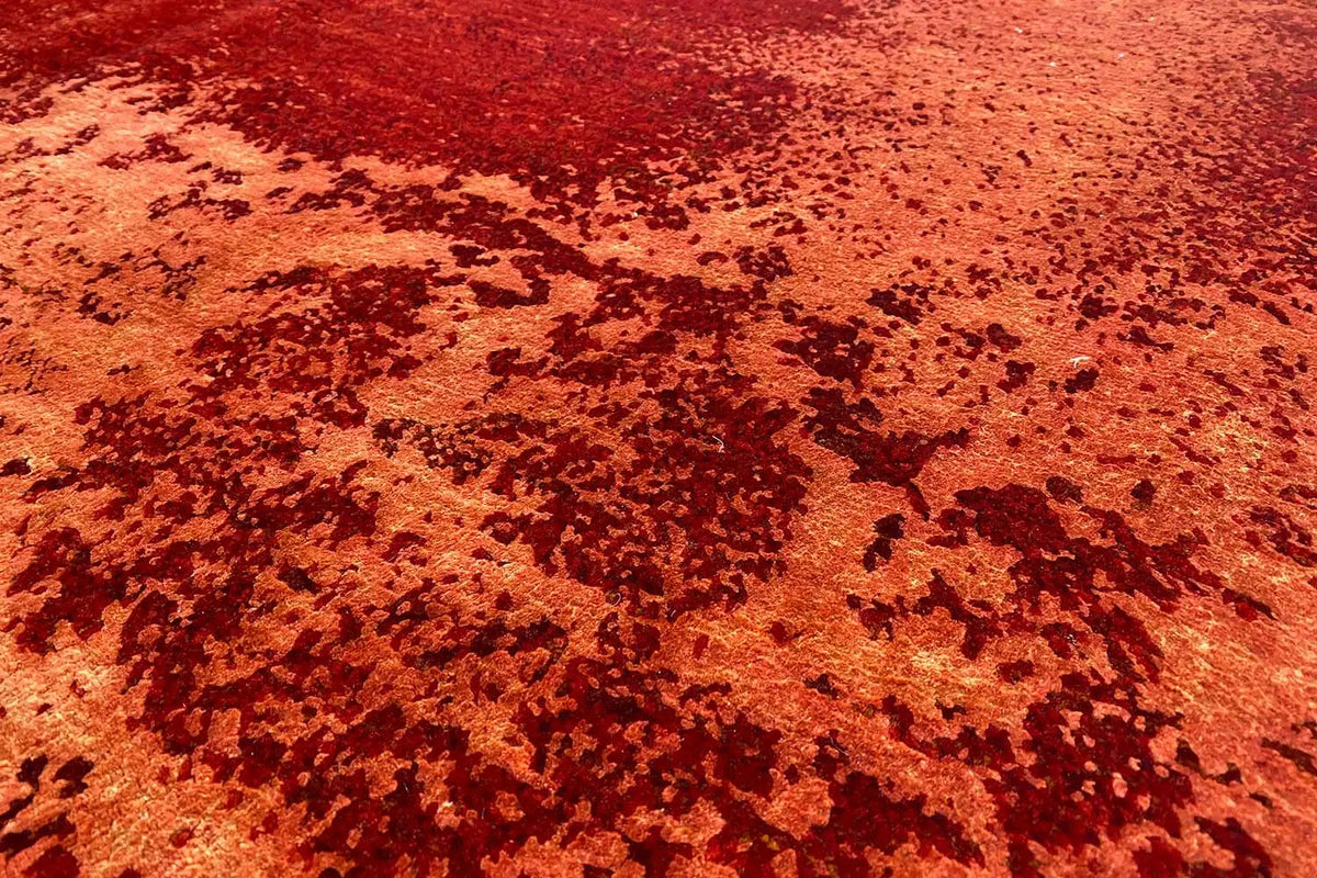 Red carpet with a dense, abstract structure and visible texture in close-up detail