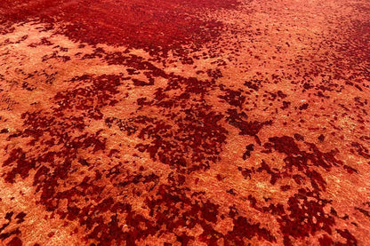 Red carpet with a dense, abstract structure and visible texture in close-up detail