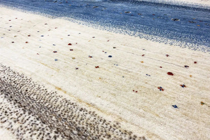 Close-up of a Gabbeh-Lori rug: beige pile with fine colorful dots, visible edge.