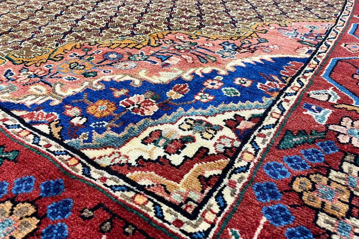 Hamadan rug: multicolored ornamental pattern with a border and woven pile edge