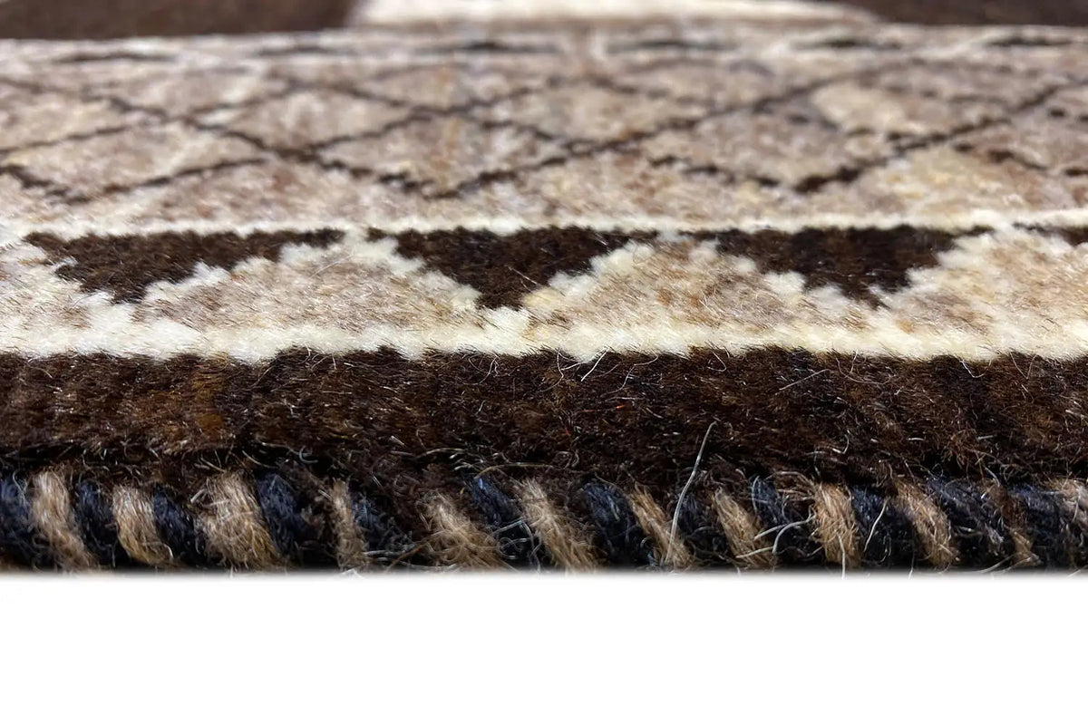 Detail view of the pile and edge of the Oriental rug, multicolored border with patterned stripes