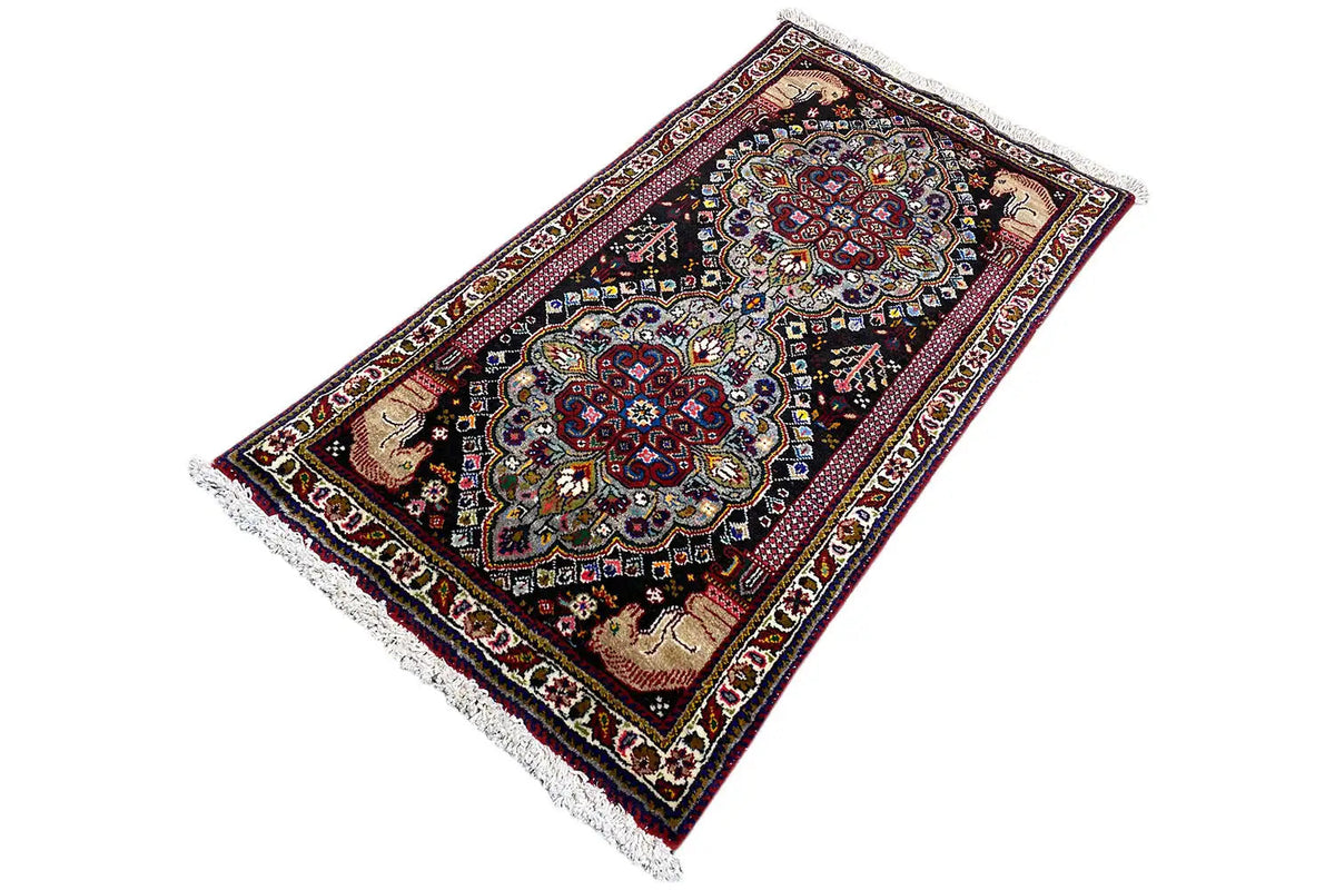 Oriental rug with a central medallion and fringe, dark background, border.