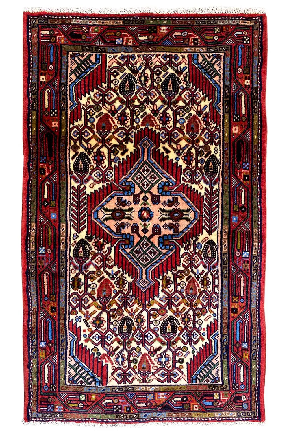 Hamadan rug front view: red inner field with ornamental borders and medallions