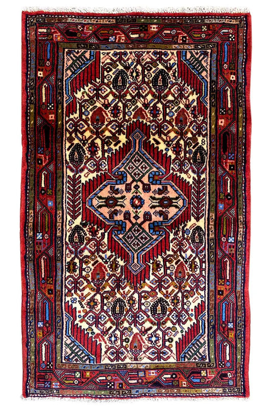 Hamadan rug front view: red inner field with ornamental borders and medallions