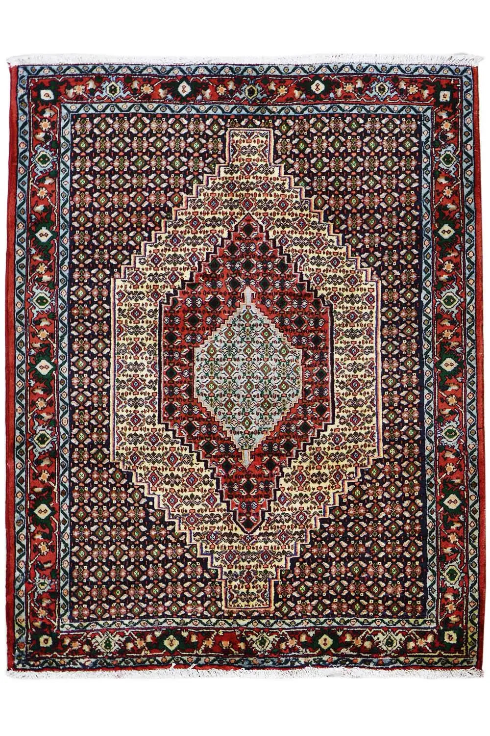 Hamadan rug with medallion and decorative border in red, blue, and beige.